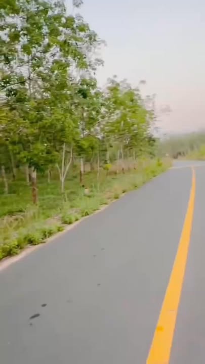 Đất nền Long Tân Dầu Tiếng 250m² 0.6 tỷ - Đường to ô tô