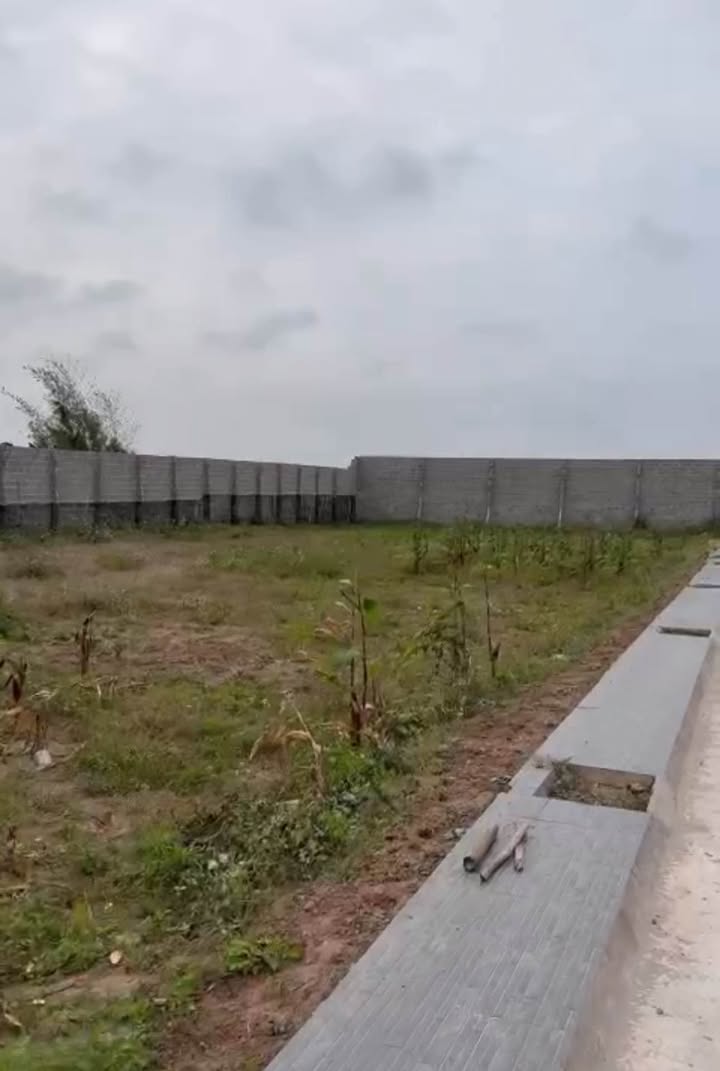 Đất Nam Trung Tiền Hải 100m² - Sổ đỏ chính chủ