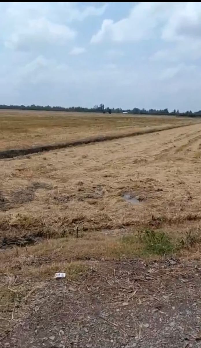 Đất nền Cai Lậy 35 công 5 triệu/công - Giá đầu tư tốt