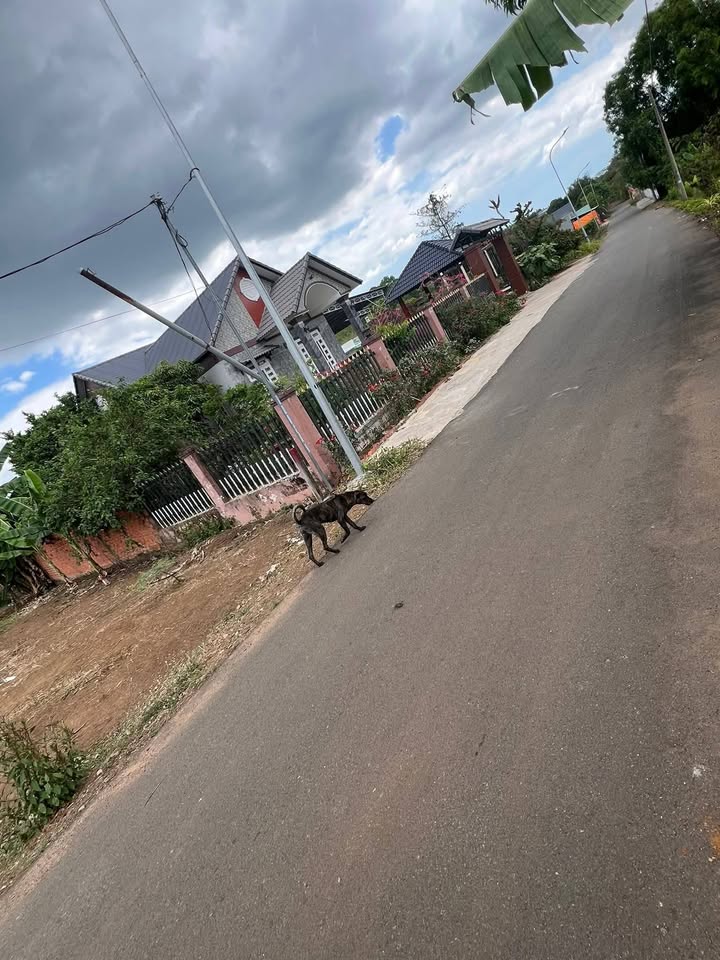 Đất nền Bình Ba Châu Đức 150m² 1.05 tỷ - Sổ hồng riêng sang tay