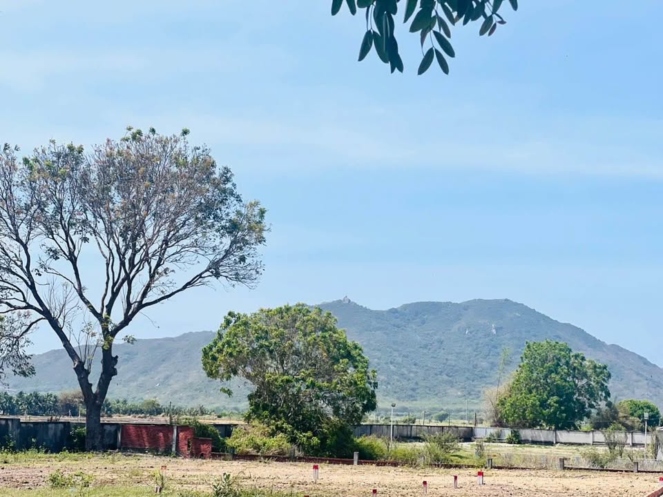 Đất nền Phước Hải 291m² 2.25 tỷ - Đường to ô tô