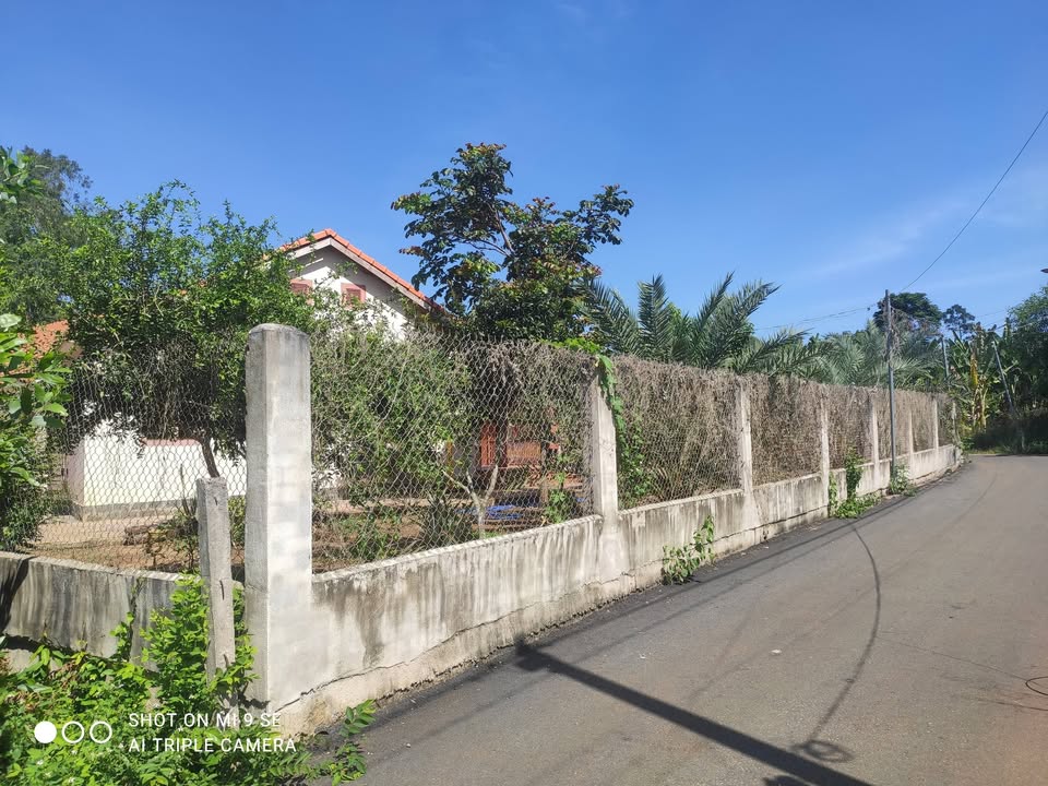 Đất nền Hòa Long Bà Rịa 800m² 4 tỷ gần quán Sake - Đường to ô tô