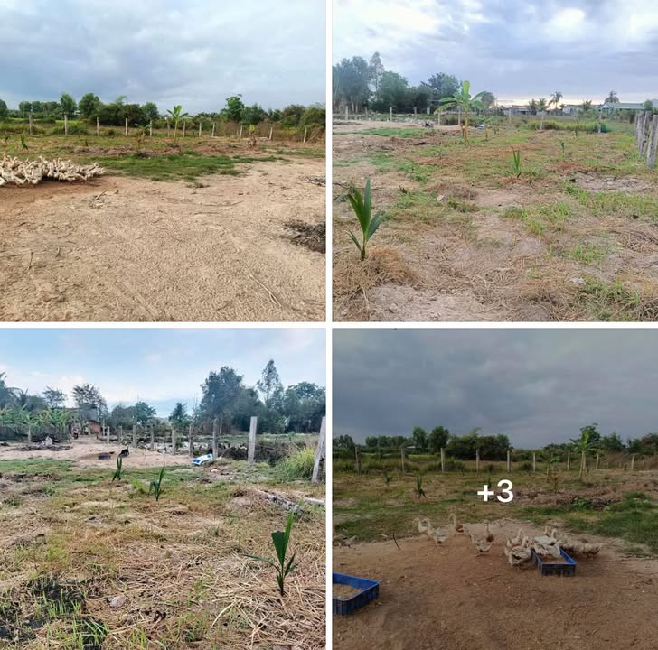 Đất vườn Đông Hà 700m² 1.29 tỷ - Sổ đỏ chính chủ