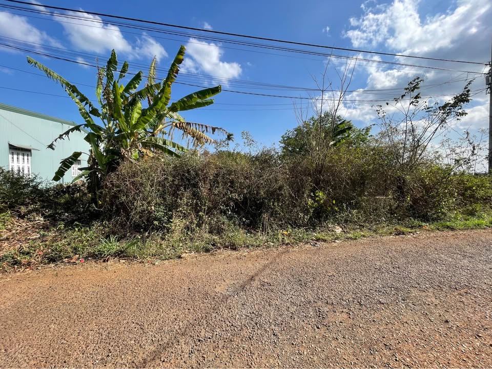 Đất nền Pleiku Ngô Quyền 150m² 700 triệu - Sổ đỏ chính chủ