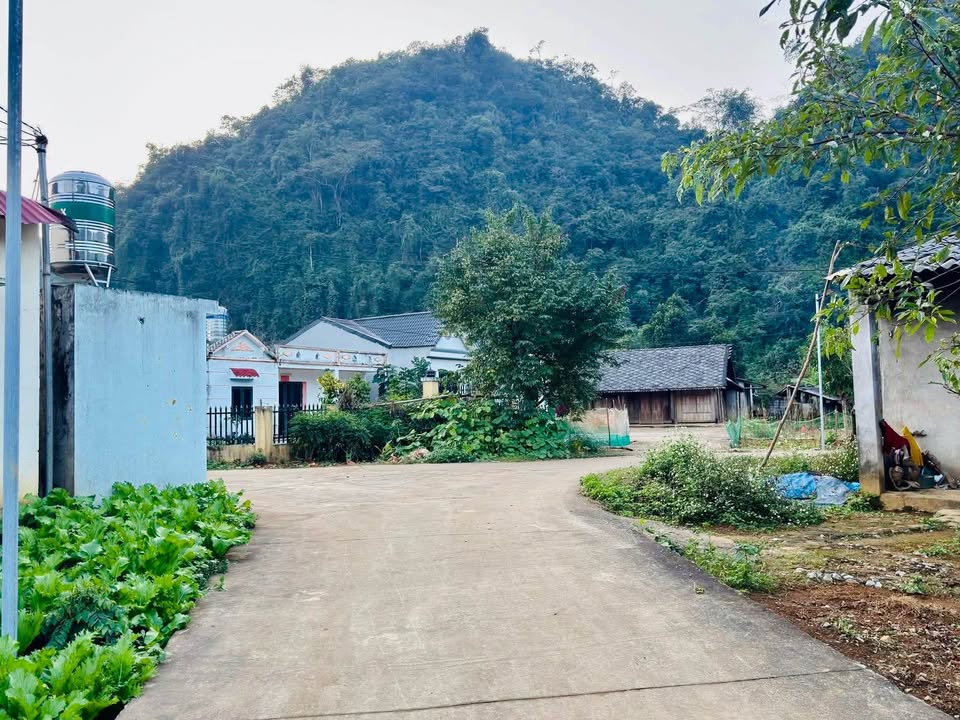 Đất nền Lùng Pục Hà Giang 1000m² 690tr - Đường to ô tô