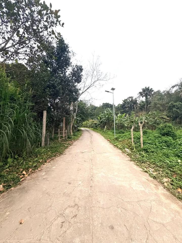 Đất thổ cư Tiến Thắng Hà Giang 2000m² 2 tỷ - Sổ đỏ chính chủ