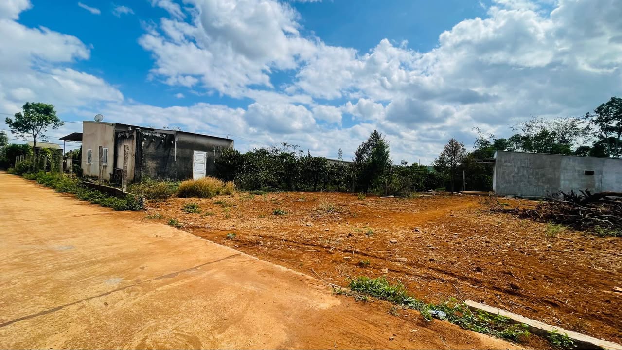 Đất nền Diên Hồng Pleiku 150m² thỏa thuận - Sổ đỏ chính chủ