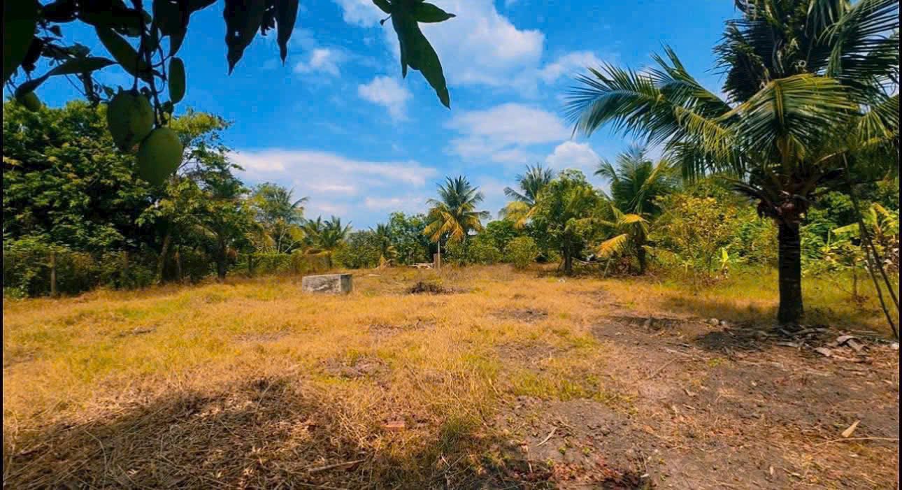 Đất Nguyễn Văn Linh Tân Biên 225m² 30.375 tỷ - Sổ đỏ