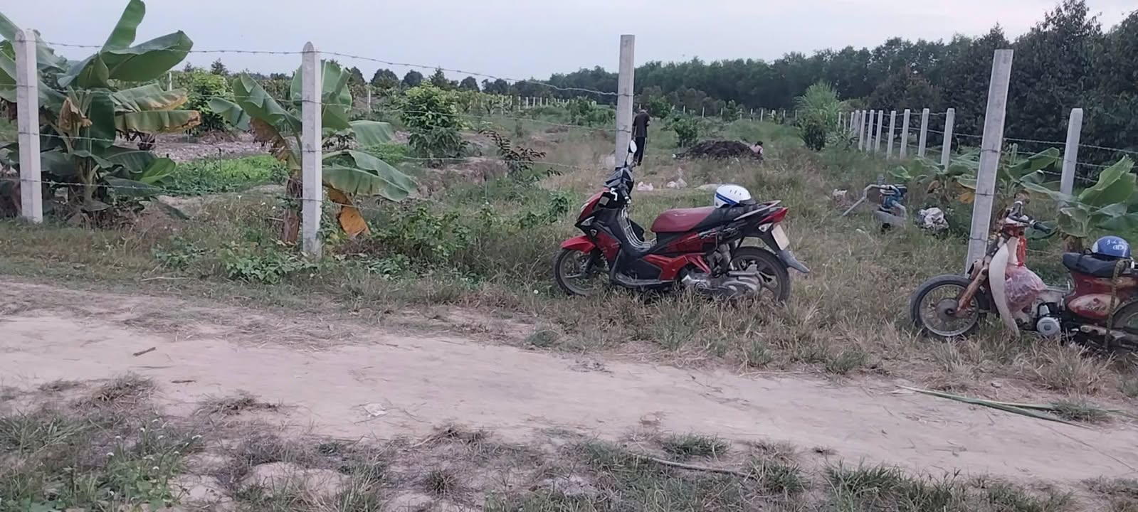 Đất vườn Phước Thạnh Gò Dầu 2645m² 700-799tr Sổ đỏ chính chủ