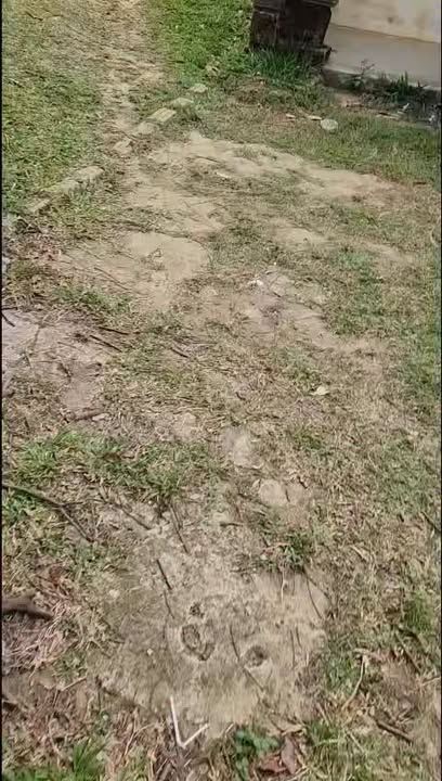 Đất nền Quốc lộ 14 Đắk Glei 1500m² 4.5 tỷ - Đường to ô tô