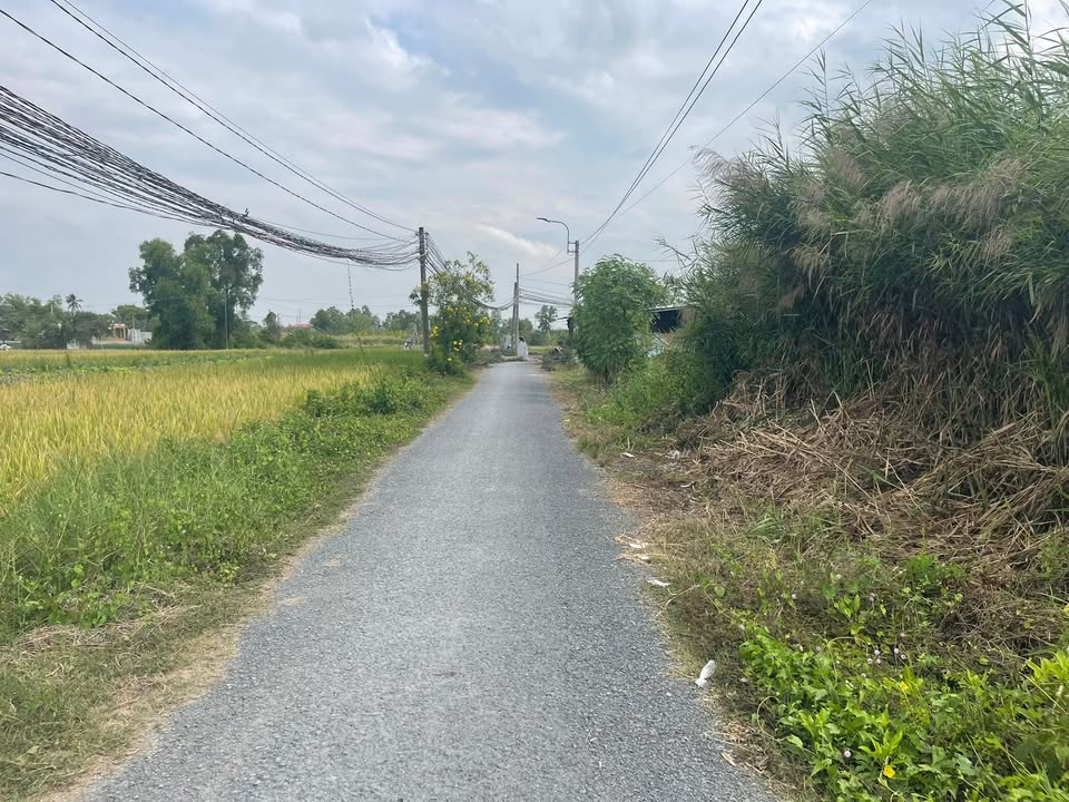 Đất nền Long Thượng Long An 1.500m² 10 tỷ - Tiềm năng tăng giá