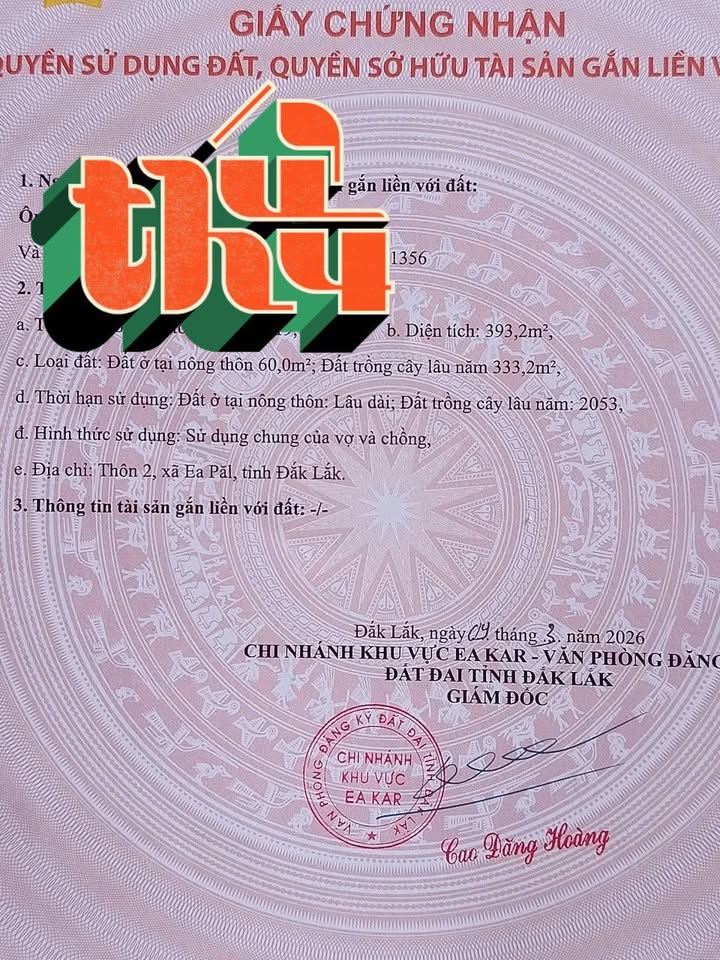 Đất nền Ea Păl Ea Kar 406m² giá 159 triệu - Sổ đỏ chính chủ