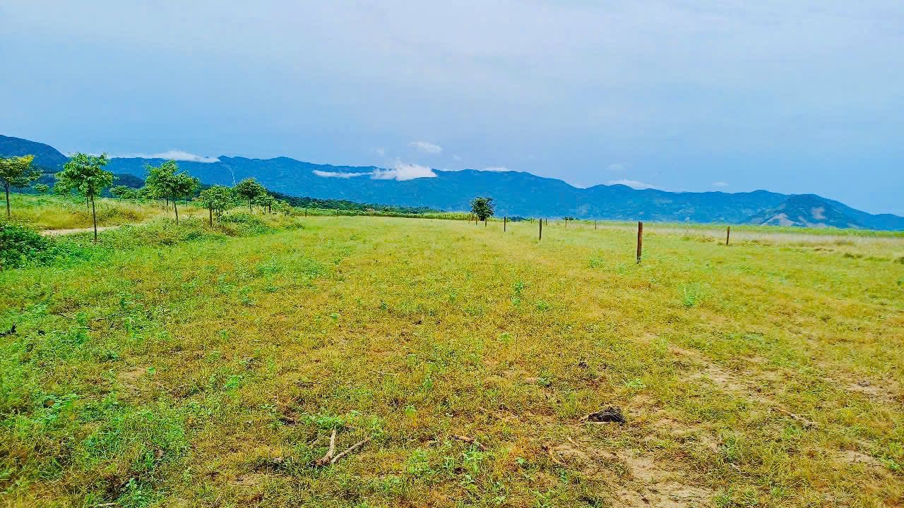 Đất nền TT Tân Sơn 500m² giá 1xx triệu - Sổ hồng sẵn