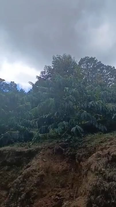 Đất vườn Đa Quyn 3ha 3.4 tỷ - Nghỉ dưỡng lý tưởng