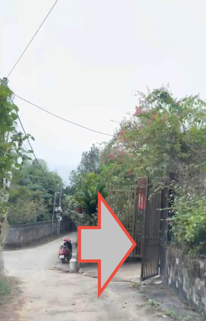 Đất nền Kim Phú Tuyên Quang 240m² 1.9 tỷ - Sổ đỏ chính chủ