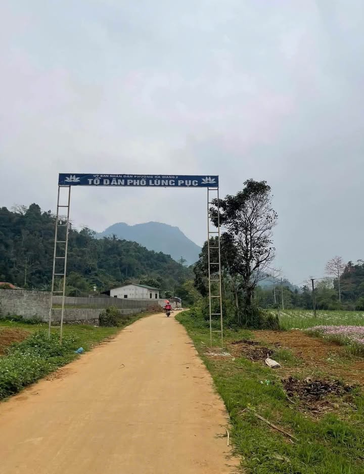 Đất nền Phong Quang Tuyên Quang 800m² 350 triệu - Đường to ô tô