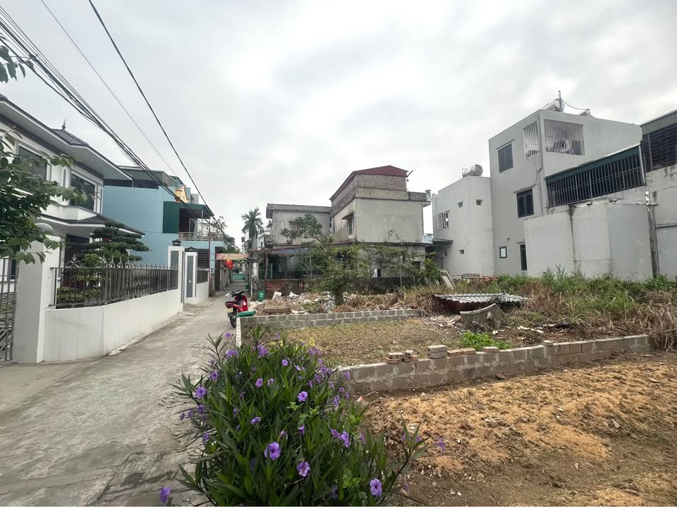 Đất Vũ Phúc Thái Bình 62m² 1,6 tỷ - Sổ đỏ chính chủ