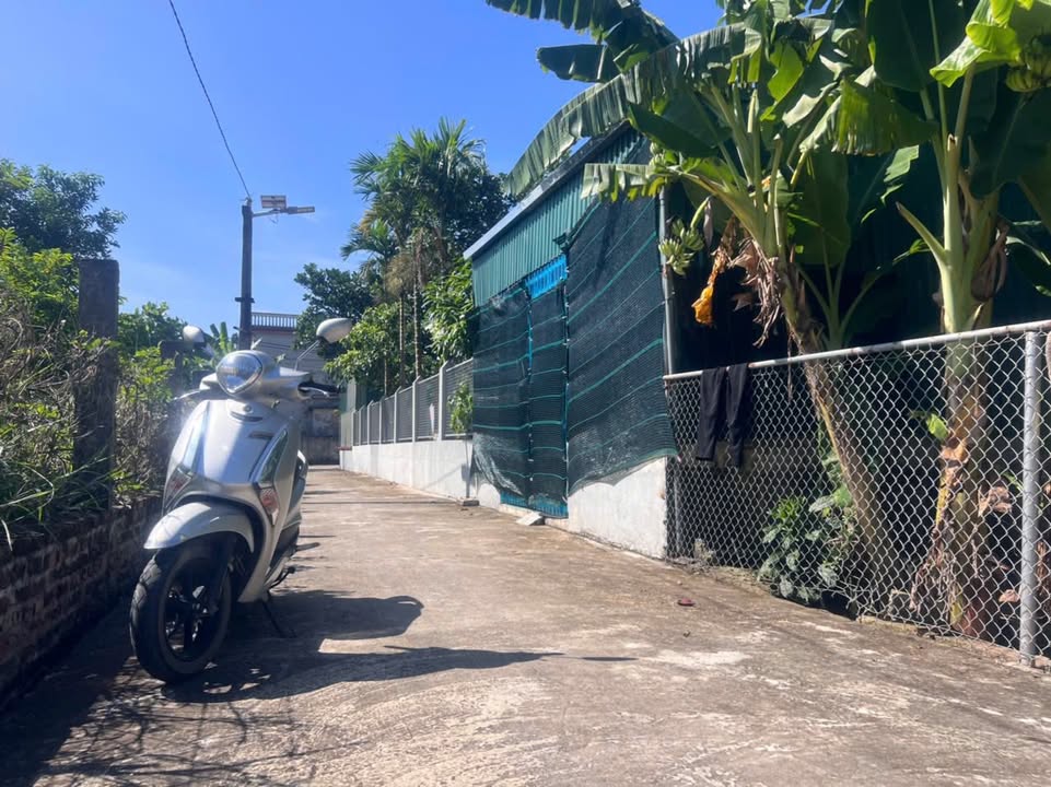 Đất nền Nam Hà Tiền Hải 120m² - Sổ đỏ chính chủ