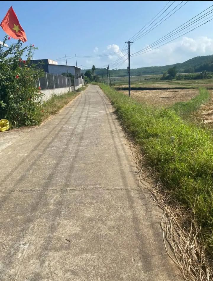 Đất nền Bình Thanh Bình Sơn 600m² 6xxtr - Sổ đỏ chính chủ