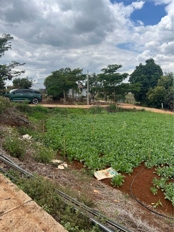 Đất nền Tổ 34 Liên Nghĩa 100m² 920 triệu - Giá tốt hiếm có