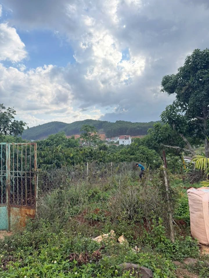 Đất nền Mê Linh Lâm Hà 175m² 820 triệu - Sổ đỏ chính chủ