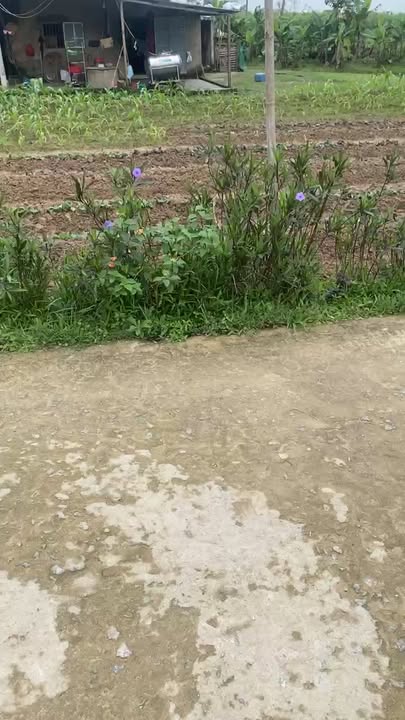 Đất nền Thượng Phong Kỳ Xuân 260m² giá 600-699 triệu - Sổ đỏ chính chủ