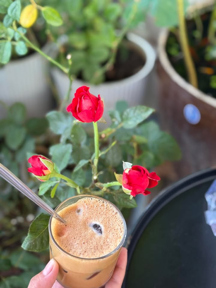 Đất nền Hàm Liêm, Phan Thiết 137m² 1.4 tỷ - Sổ đỏ