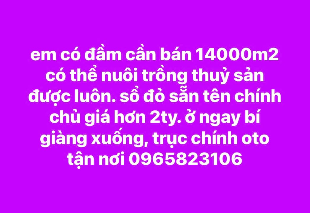 Đất đầm Liên Khu Vân Đồn 1,4ha 2 tỷ - Sổ đỏ chính chủ