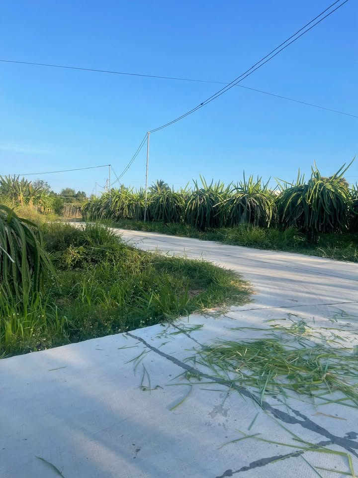 Đất nền Phan Thiết Hàm Thạnh 3.420m²/1,4 tỷ - Pháp lý rõ ràng