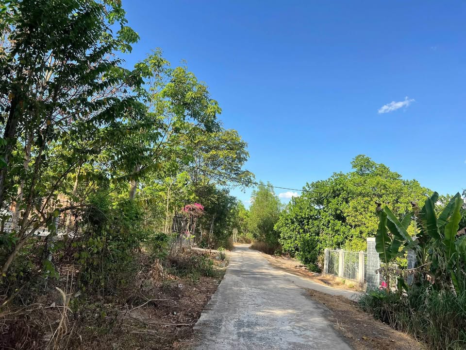 Đất xã Tân Quan 300m² 2xx triệu - Sổ đỏ chính chủ