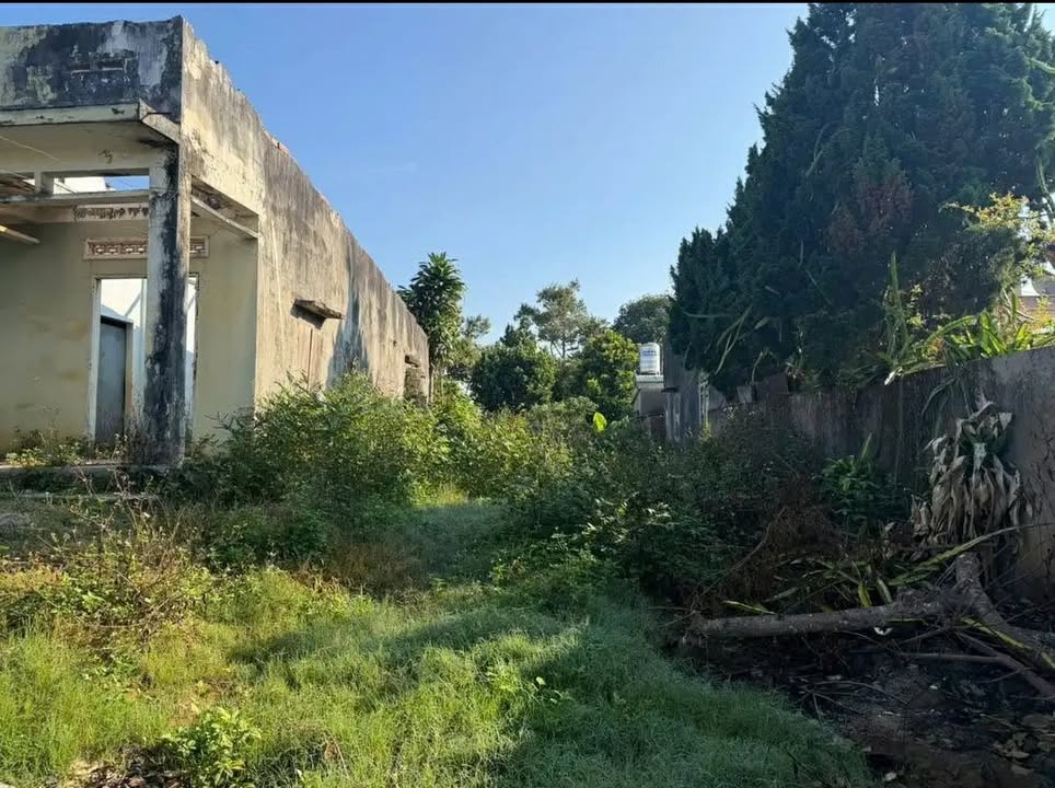 Đất nền Lộc An Bảo Lâm 234m² 1,75 tỷ - Đường ô tô lớn