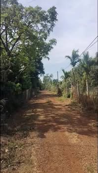 Đất Buôn Hồ Nguyễn Thị Thập 318m² 160 triệu/m - Đường to ô tô