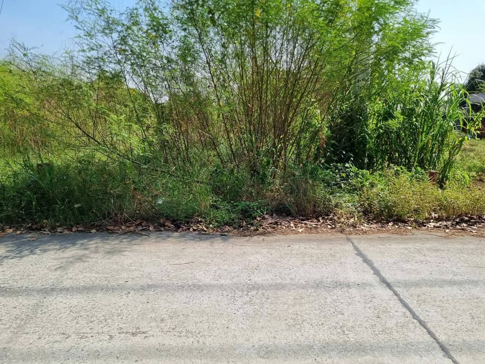 Đất Nguyễn Thị Tấm Hóc Môn 220m² 1.7 tỷ - Sổ đỏ chính chủ