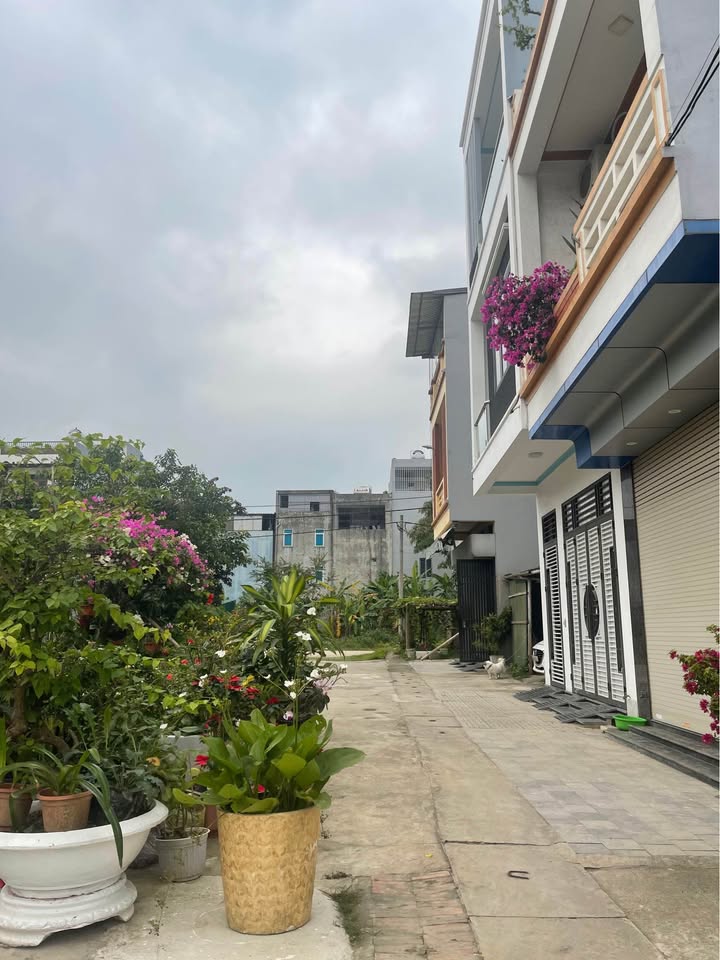 Đất nền Phố 1 Quảng Hưng 100m² 3.7 tỷ - Sổ đỏ chính chủ