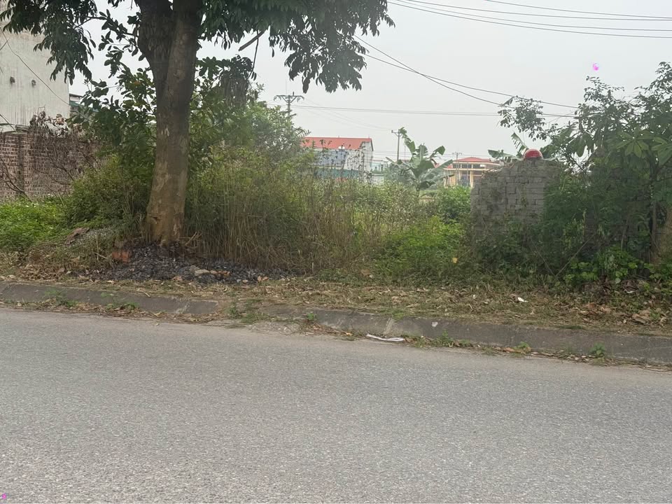 Đất nền Tỉnh lộ 285 Lương Tài 200m² - Sổ đỏ chính chủ