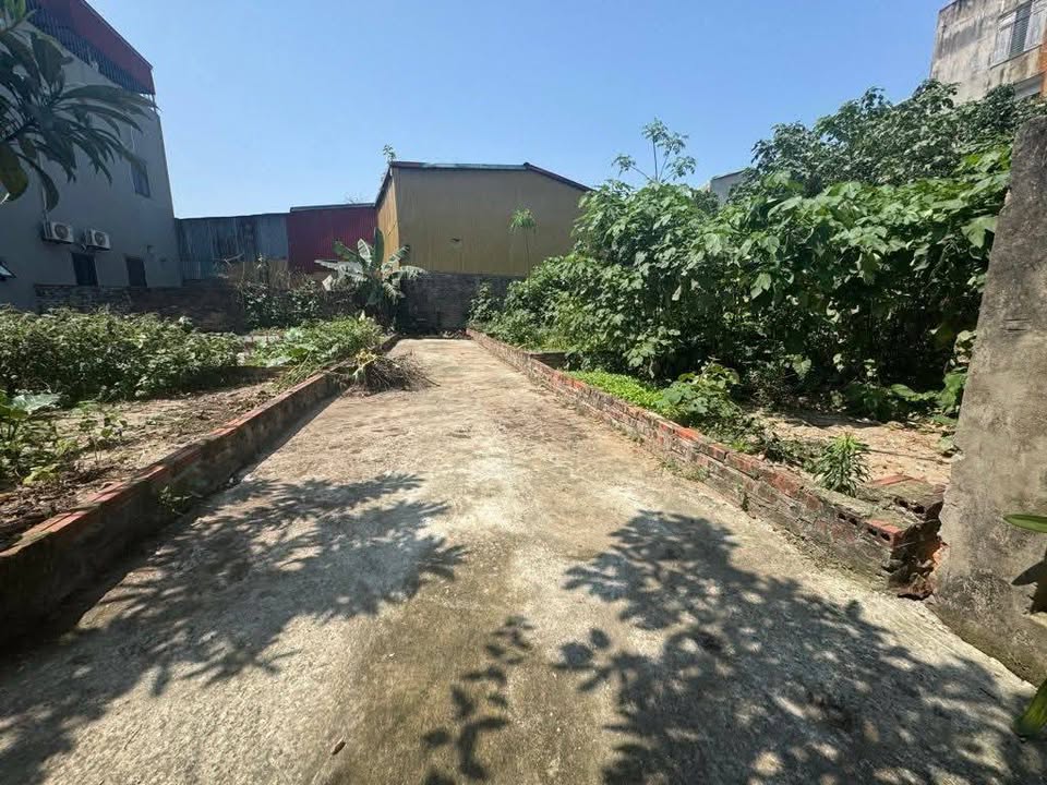 Đất Phù Khê Từ Sơn 56m² giá 1,5 tỷ - Sổ đỏ chính chủ, ô tô nhỏ vào đất