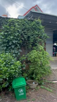 Đất nền Phù Cát 190m² 9xx triệu - Thổ cư 100%