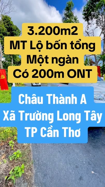 Đất nền Trường Long Tây 3.200m² bám sông lớn Đường to ô tô