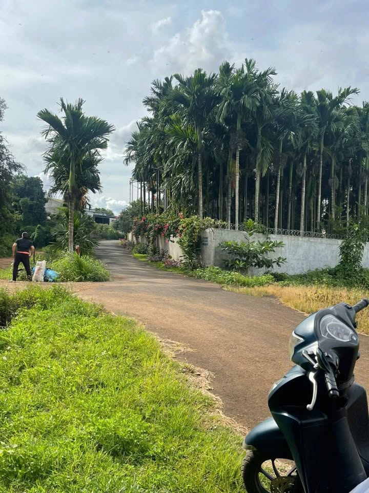 Đất Hòa Xuân Buôn Ma Thuột 340m² 799tr - Sổ đỏ chính chủ