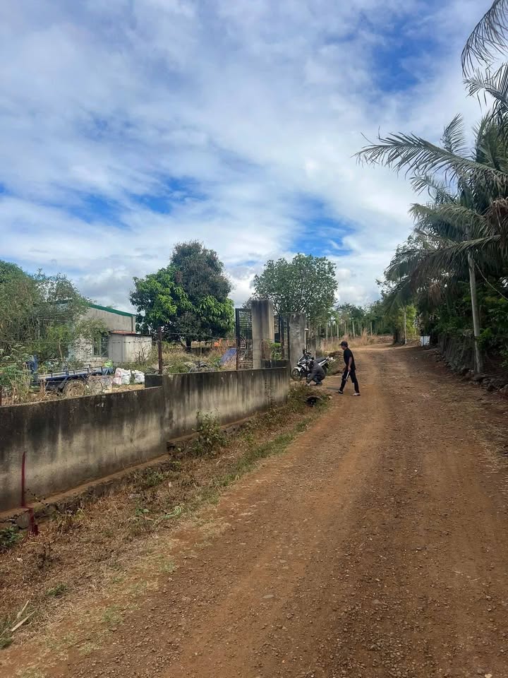 Đất nông nghiệp Cư Ebua Buôn Ma Thuột 500m² 650 triệu - Sổ đỏ