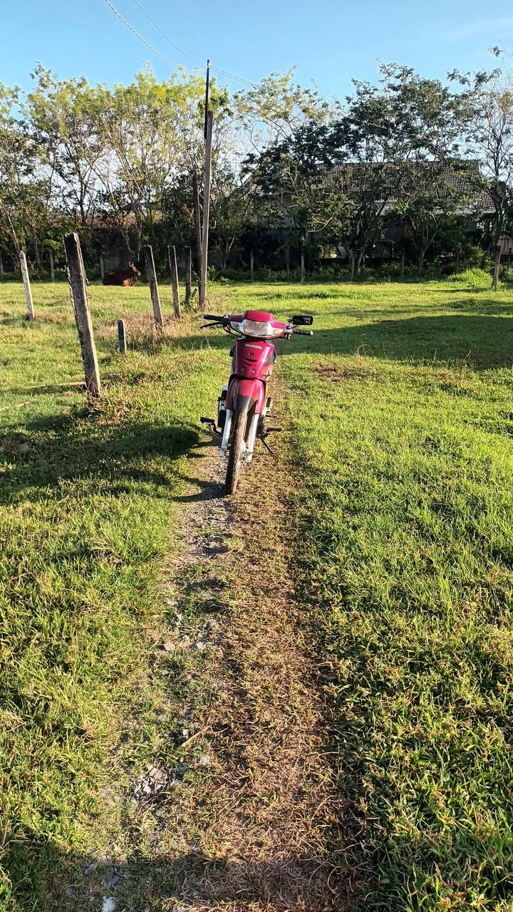 Đất nền Lộc An Trảng Bàng 50m² 300tr - Sổ đỏ chính chủ