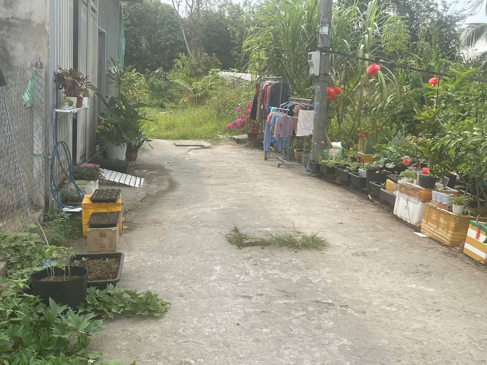 Đất Thốt Nốt Cần Thơ 78.5m² 590 triệu - Sổ đỏ chính chủ