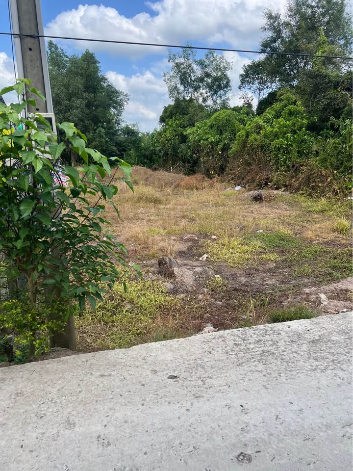 Đất nền Phú Hữu 500m² 600 triệu - Sổ đỏ chính chủ