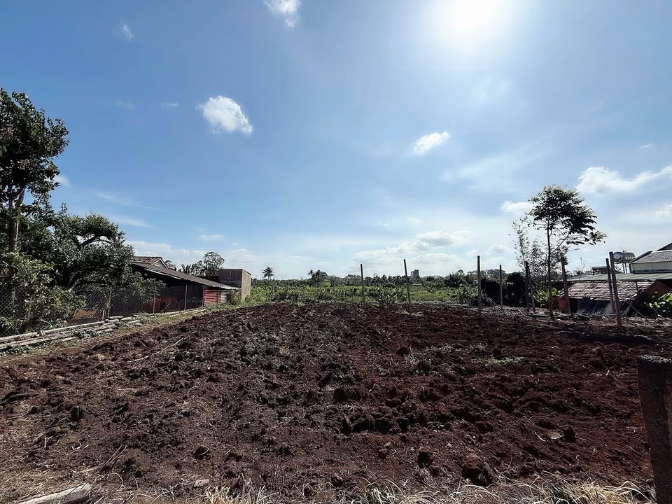 Đất thổ cư Ea Tam 145m² giá 999 triệu - Giá tốt hiếm có