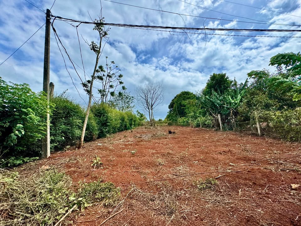 Đất nền Tú Xương Buôn Ma Thuột 400m² 62 tỷ - Đường ô tô