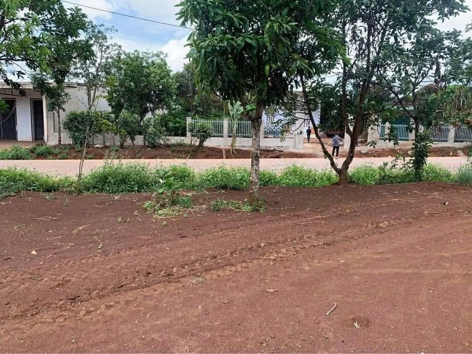 Đất nền QL29 Ea Drong 460m² 1,599 tỷ - Sổ đỏ chính chủ