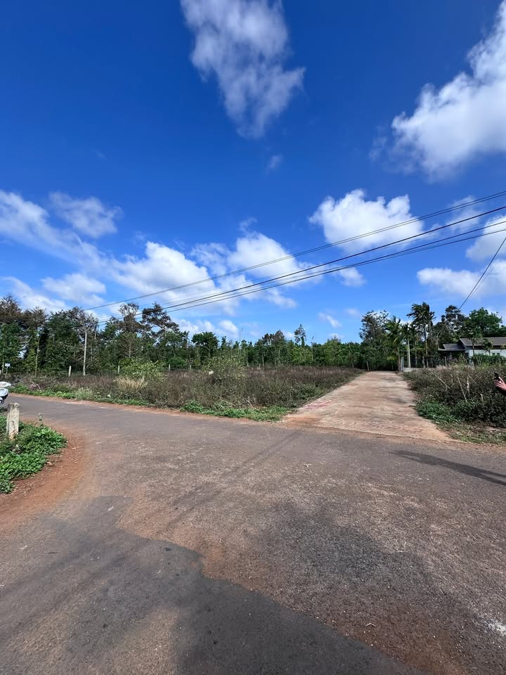 Đất nền Tân An Buôn Ma Thuột 384m² 3.2 tỷ - Sổ đỏ chính chủ