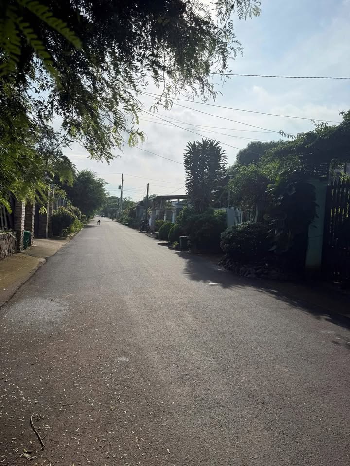 Đất Bưng Riềng Xuyên Mộc 373m² 2,59 tỷ - Sổ đỏ chính chủ