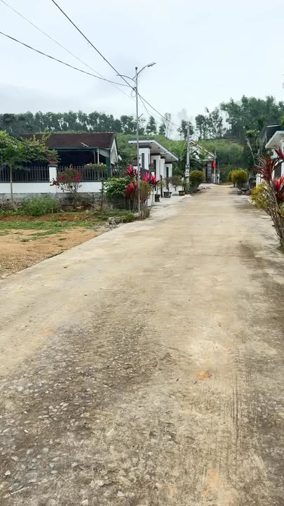 Đất nền Hòa Sơn Đô Lương 242m² 7xx triệu - Đường to ô tô