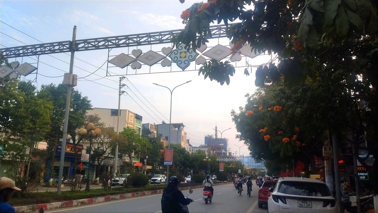 Đất Lương Sơn Hòa Bình 235m² 2 tỷ - Đường ô tô vào đất